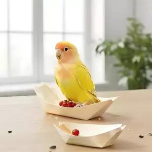 새 물림 방지 장난감 나무 보트 모양 씹기 방지 장난감 앵무새용 마카우용 참새용 러브버드용 코카티엘용