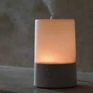 HAAN 간편세척 은은한 무드등 저소음 복합식가습기 5L/가정용 사무실 업소용 무드등가습기