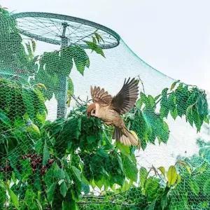 안전 새 그물망 그물 보호 농작물 방조망 방조망 새망 새그물망 새그물 참새그물망 조류그물망 4x 10m