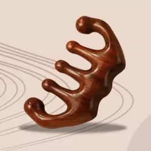 두피 마사지 우드 괄사 종아리 승모근 관리 도구 (WFKN1I0)