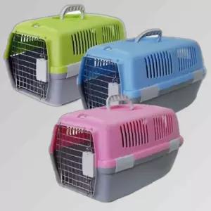 펫라인 칼라 이동장 대형 색상 랜덤발송