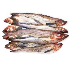 [새우몰] 업소용 동태모듬 20kg 6통  명란 명태곤 대구알 대구곤