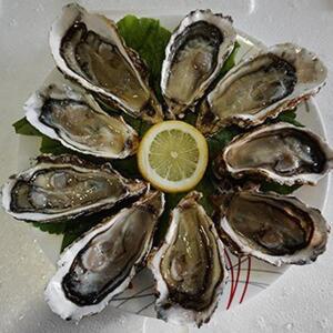 통영 하프셀 30미