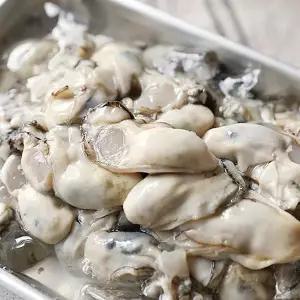 [맛군]당일조업 통영 산지직송 싱싱한 생굴 햇 굴 깐굴 1kg