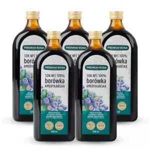 프리미엄로사 블루베리 원액 즙 100% 500ml 5병