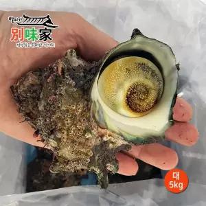 [엔젤쿡][별미가] 하얀돌 해녀가 직접 채취한 자연산 통영 뿔소라 대 5kg(35-40미)