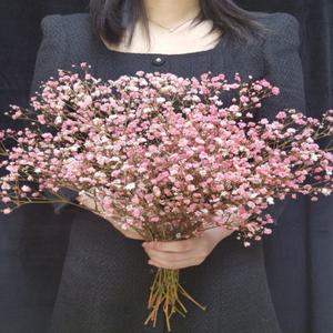 핑크 안개꽃 분홍 생화 부케 웨딩촬영 꽃다발 예쁜꽃다발 생화 고속터미널꽃시장 