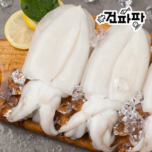 깨끗하게 손질된 냉동 갑오징어 특대 1kg (약 2미 ~ 3미)