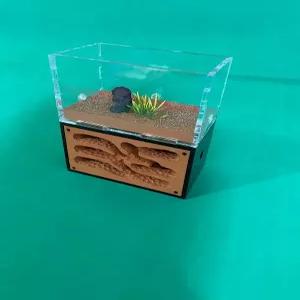 개미 사육장 흙 채집통 분양 여왕개미 관찰 투명 땅굴 케이지