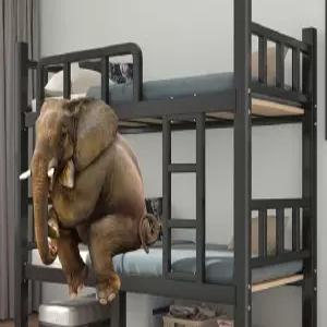 기숙사 하우스 게스트 2층 침대 대학교 다인실 합숙