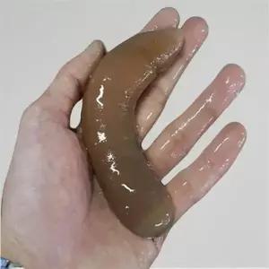 개불미끼 청개비 염장개불 낚시용개불 갯지렁이 염장혼무시 활 개불 10미