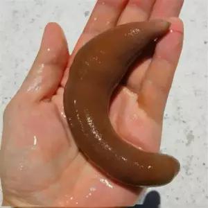 개불미끼 청개비 염장개불 낚시용개불 갯지렁이 염장혼무시 개불회