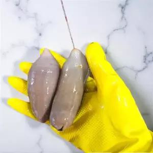 개불미끼 청개비 염장개불 낚시용개불 갯지렁이 염장혼무시 참개불