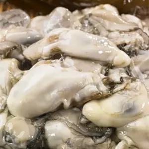 굴 통영굴 생굴 깐굴 1kg