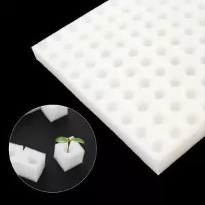 수경재배 씨앗 발아 식물 상추 파종 스펀지 100조각