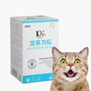 고양이 감기 증상 재채기 기관지 엘라이신 영양제