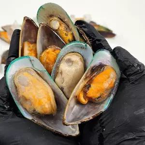 초록 그린 홍합 2.4g 세척 냉동 손질 자숙 반탈각