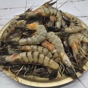 냉동 자연산 대하 2kg