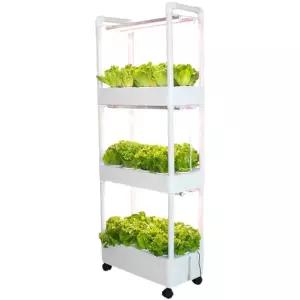 수경 식물재배기 다른 키우기 옹기 중간 자동 수직 통