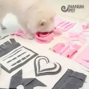 반려견 보상훈련 간식 숨기기 패드 간식찾기 훈련