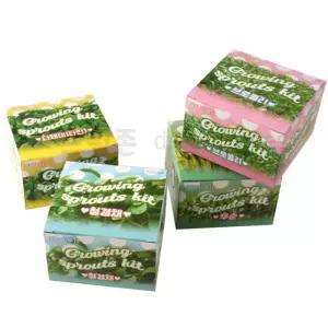 새싹 키우는 자연 학습 재배 키트