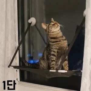 고품질 JT 뚜또가또 고양이 윈도우 튼튼 해먹 1단 고양이해먹 튼튼...