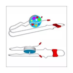 뉴 자이로 팽이 만들기(5인용)