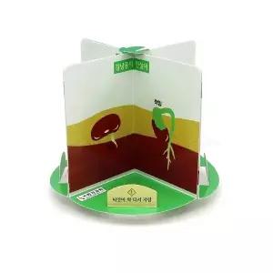 강낭콩의 한살이(회전식)