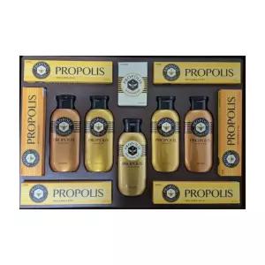 엘지 선물세트 프로폴리스E스페셜호,1개