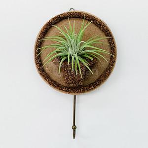 [문구티쳐] 이오난사 1조걸이 콜크클레이 화분 만들기 5인세트 DIY 클레이 작품만들기 식물키우기 식물