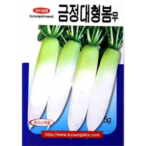 (씨앗) 금정대형봄무 - 장원통형 무 - 봄무 씨앗 종자 - 5g