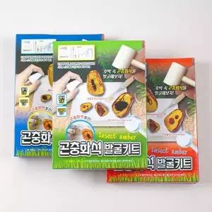 [하프클럽/알티피아]곤충 화석 발굴 키트 장난감 유아 어린이 만들기