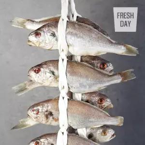 국내산 백조기 영광 법성포 백굴비 고급3호 10미