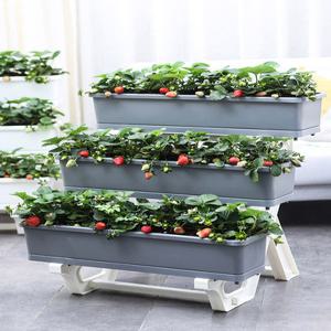 계단식 딸기 화분 수직 다육이 실내 온실 가꾸기 원형 텃밭 조경 정원 발코니 베란다