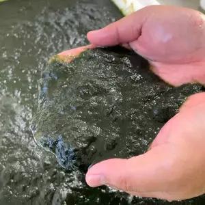 냉동 국산 완도 매생이 400g