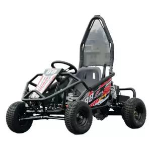 전기 버기카 성인용 오토바이 4륜 전동 산악 배터리 포함 1인용 H