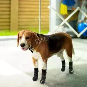 강아지 애견신발 미끄럼방지 애완 신발 양말 강아지신발