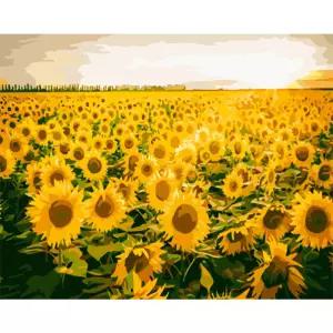 (하모니아트)DIY 유화그리기 그림그리기 세트 페인팅 40x50 해바라기 시리즈취미용품 DIY 그리기 명화 팝아