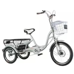 세발자전거 수납 인력거 티타늄 펫바이크 마실 어르신