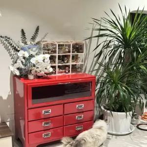 철제 인테리어 레트로서랍장 서랍 소품 장식품 카페 엔틱