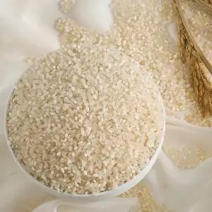 밥맛좋은 진공포장 찰진 담양 쌀 350g x 11 (총3.85kg)