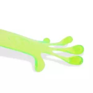 438627 왕손바닥끈끈찐득이