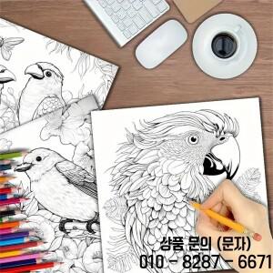 아트 컬러링 북 생일 파티 선물 스트레스 해소 시간 그래피티 페인팅 그리기 20 페이지 더블 호환