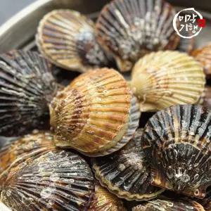 미각기행 흑백가리비 4kg(80미 내외)