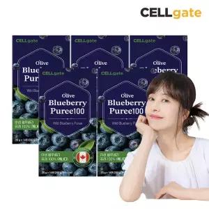 셀게이트 올라이브 블루베리 퓨레 100 14포 x 5박스 / 100% 생과 퓨레