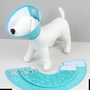 목보호대 애완용 프로텍션 커버 컬러디자인 카라 애견 깔대기 애완용목보호대