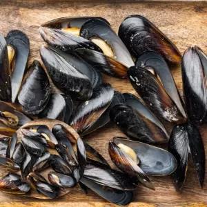 홍합 6kg 국내산 초록입홍합 건홍합 국산홍합