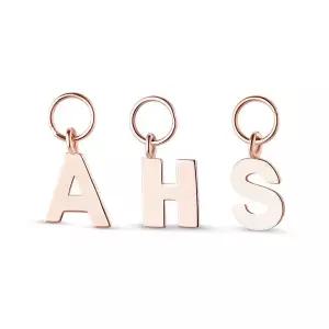 [도로시] 14k 시그니처 이니셜 이어참 펜던트