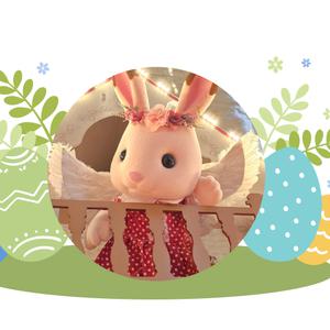 [경주] 바니베어 뮤지엄 이용권/전국가볼만한곳/경주 여행/체험/전시/공연/데이트/키즈까페/한화리조트