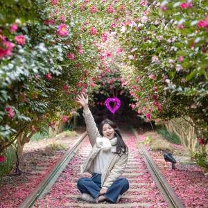 제주 허브동산 테마파크 / 제주도 가볼만한곳 관광지 족욕체험 포토존